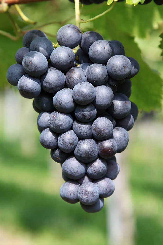 Acerca de Nosotros Image 02